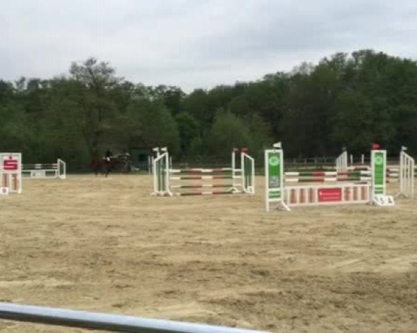 Video of Marilanda