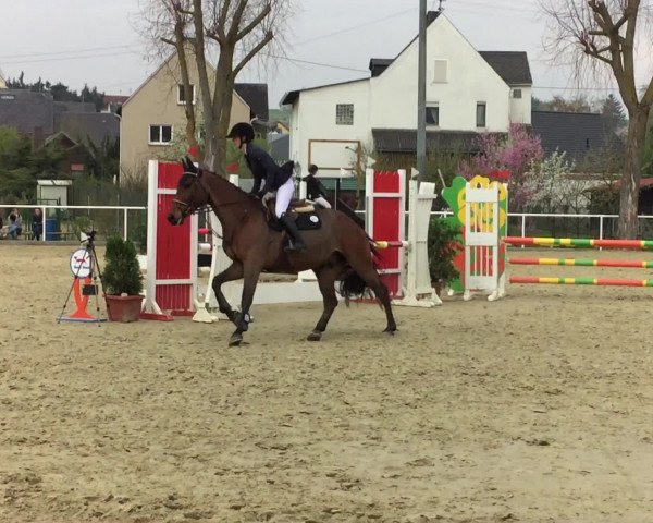 Video of Looping Louis 2