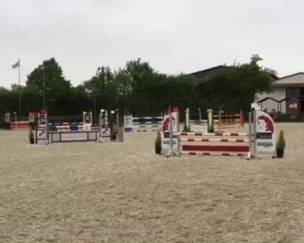 Video von Cortez 73