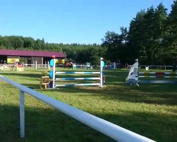 Video von Cortez 73