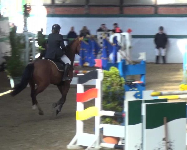 Video of A'Lee Classic W