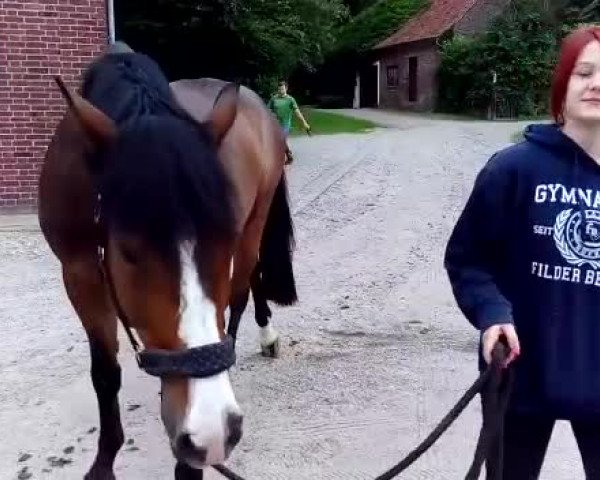 Video von Winsor