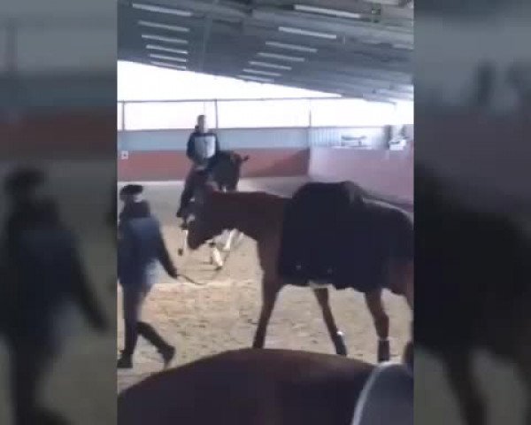 Video von Refina 2