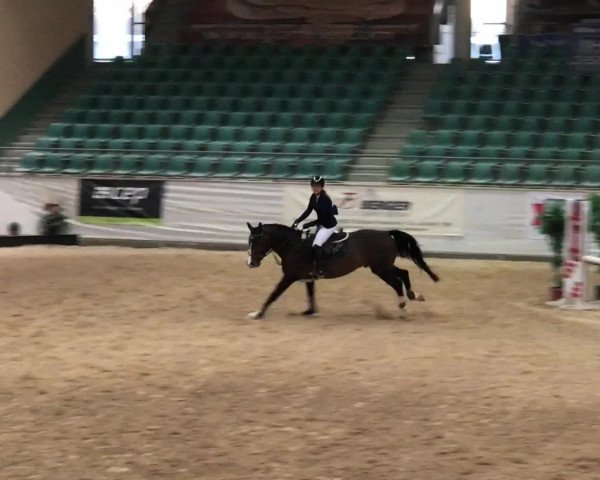 Video of IWSB Clarke Key