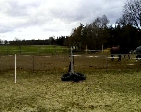 Video of Valentino's Diamond T