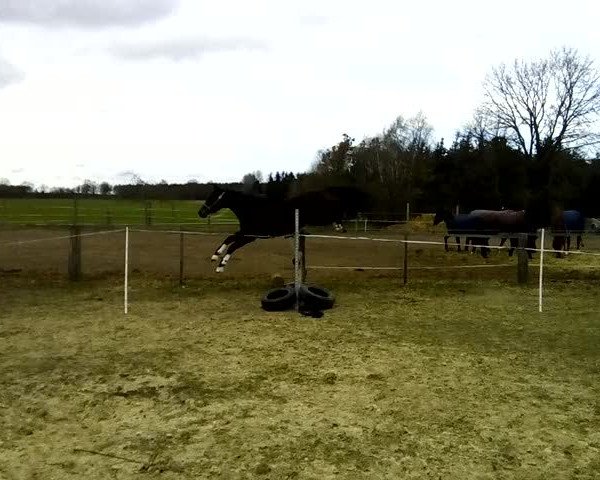 Video of Chapter One T