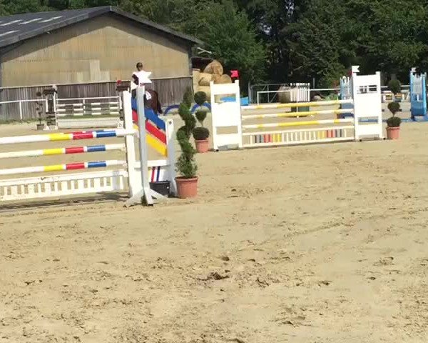 Video of Comic H