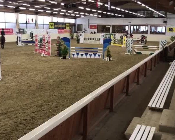 Video of Chamaco 4