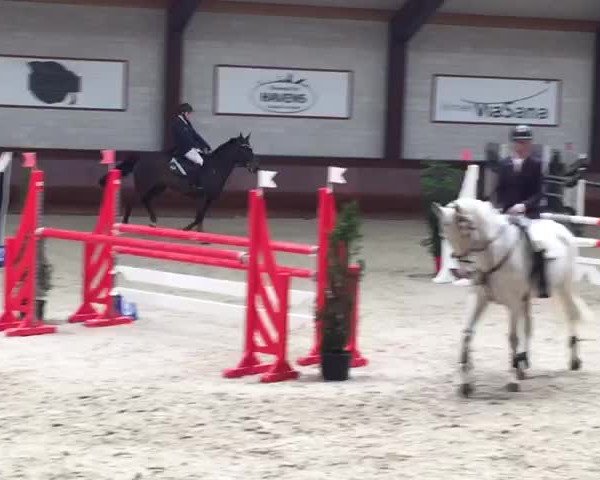 Video of BALOU BETTI