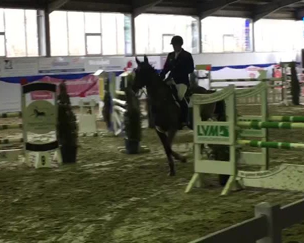 Video of BALOU BETTI
