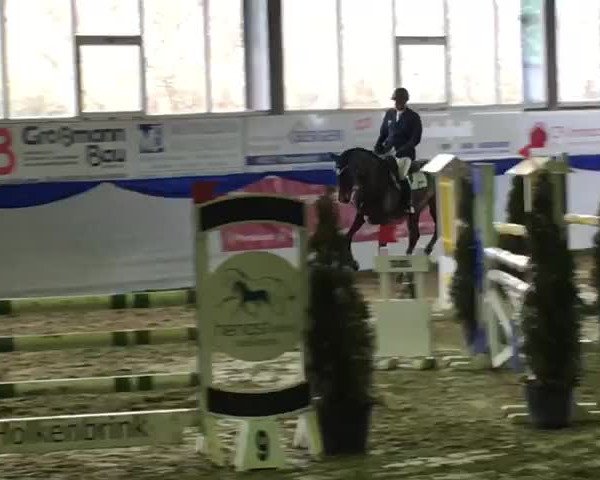 Video of BALOU BETTI