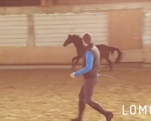 Video of Linalu