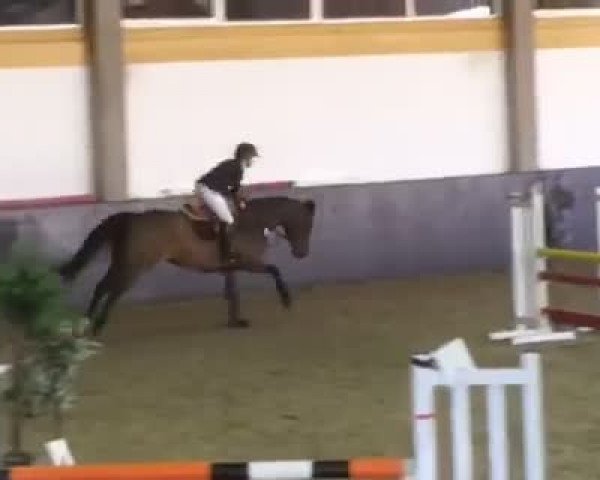 Video di Chellini 4