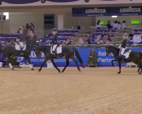 Video of Dark Diamond At
