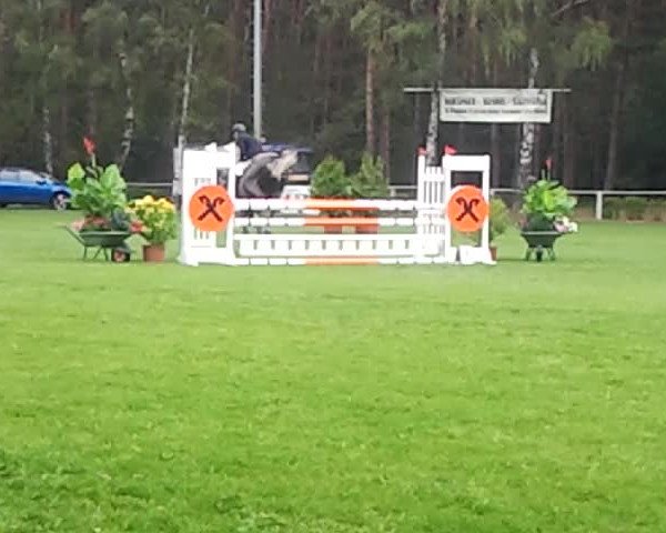 Video von Palm Beach 33