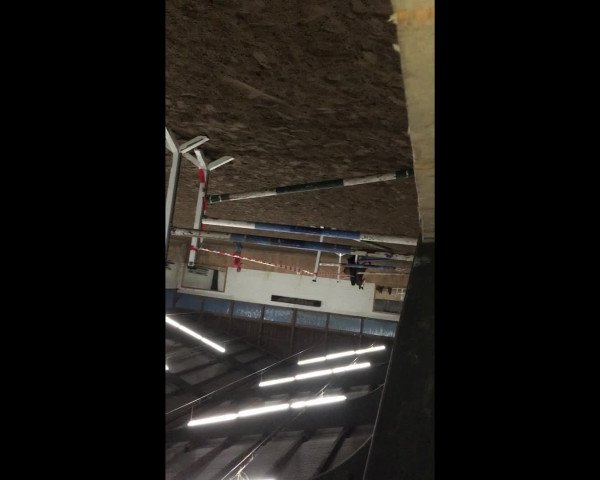 Video of Ubelina