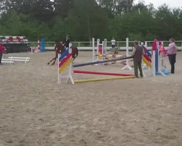 Video of Ubelina