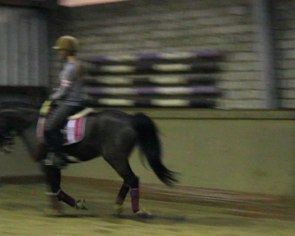 Video de Nino de Angelo 8
