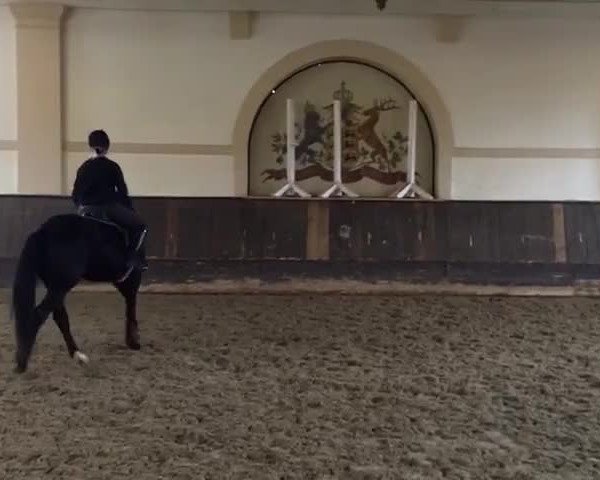 Video of Geronimo Blue
