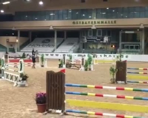 Video of Calais 27
