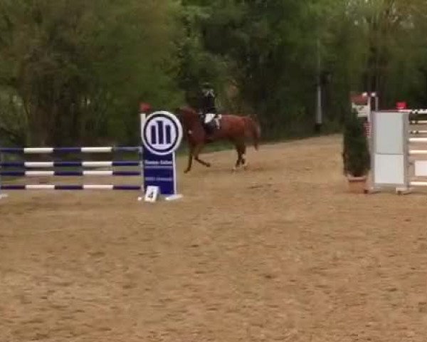 Video von Cool Man 40