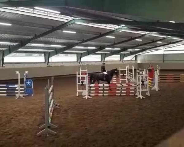 Video de Diangelo