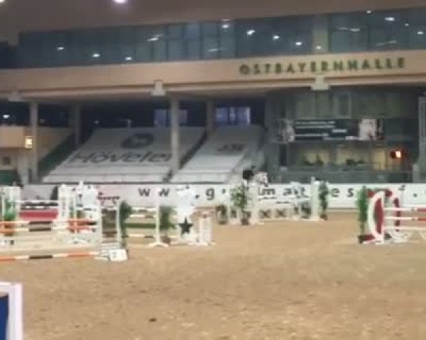 Video of Hakuna Matada 2