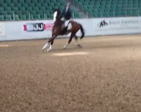 Video of Antonius HaB