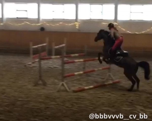 Video von Crunchy Boy