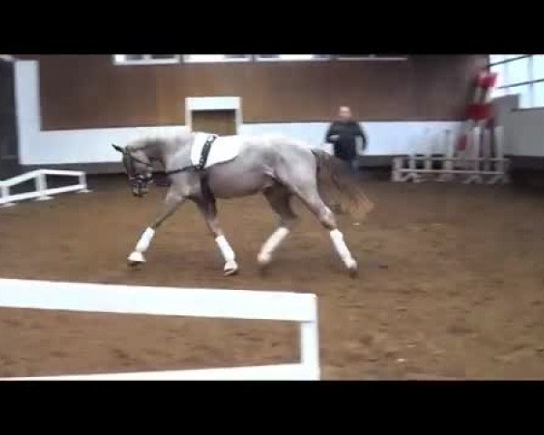 Video of Shunjun