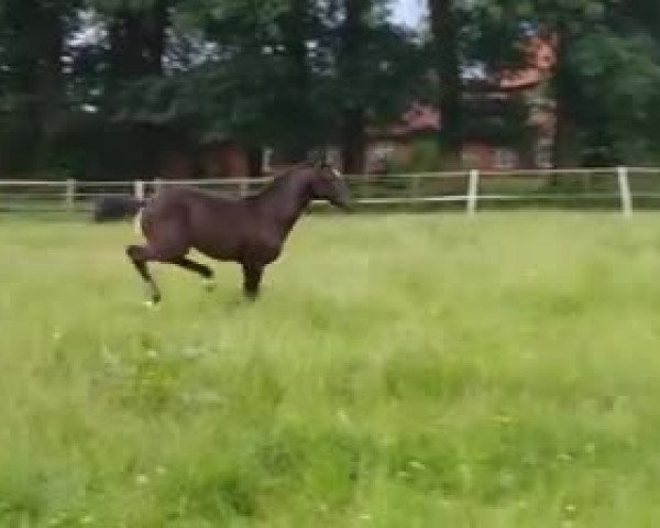 Video of Ruthy Vainqueur PS