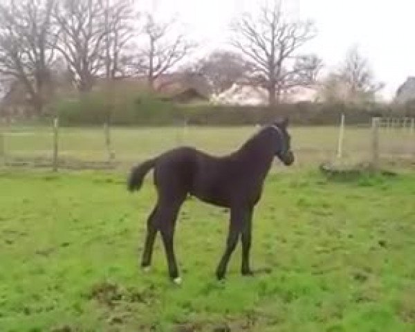 Video of Ruthy Vainqueur PS