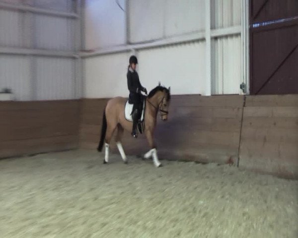Video of Double Dash
