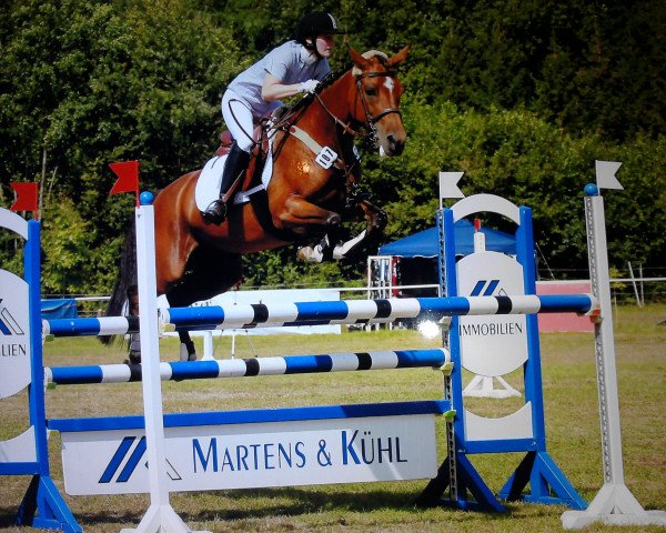 jumper Basra 14 (German Riding Pony, 2000, from Lord)