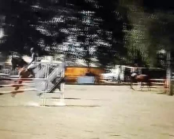 Video of Sogno de Fuyssieux