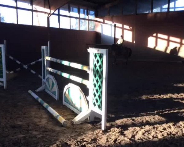 Video of Uno