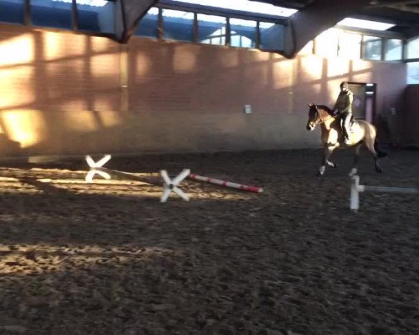 Video of Uno