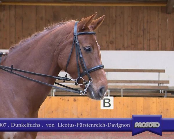 Video of Légèreté 2