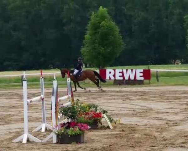 Video of Quitte 24