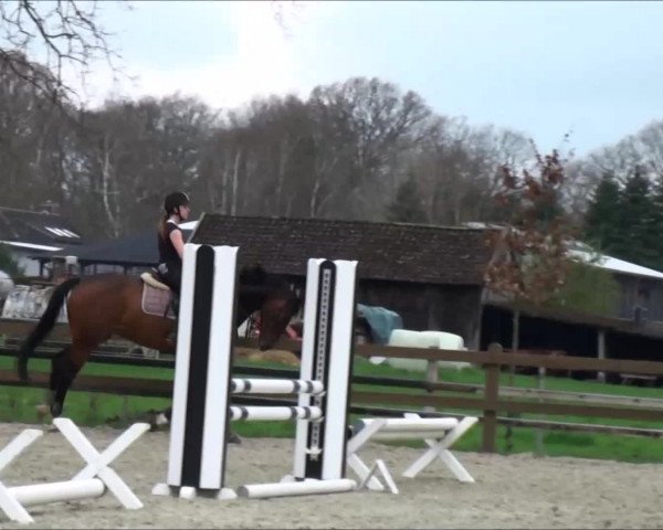 Video of Contendra JM