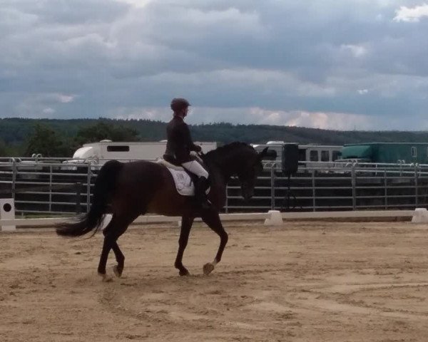 Video of Sedric