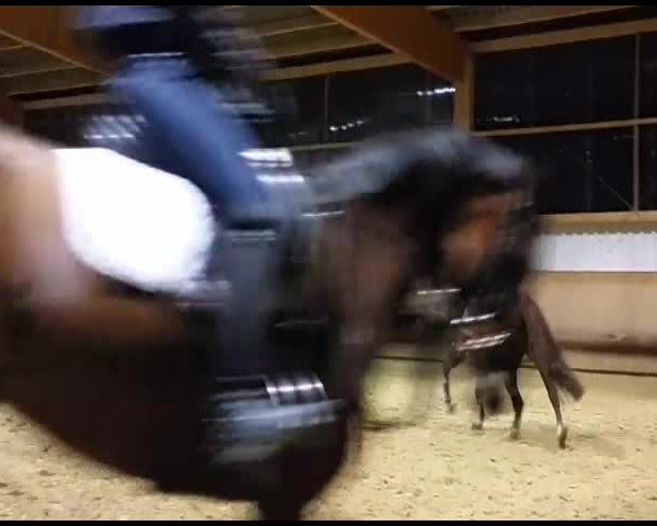 Video of Diamant 575