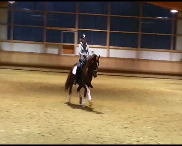Video of Diamant 575