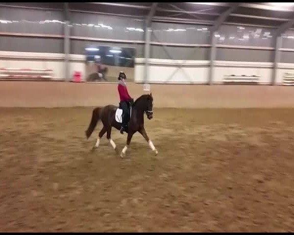 Video of Diamant 575