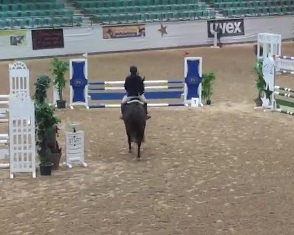 Video of Quentino 34