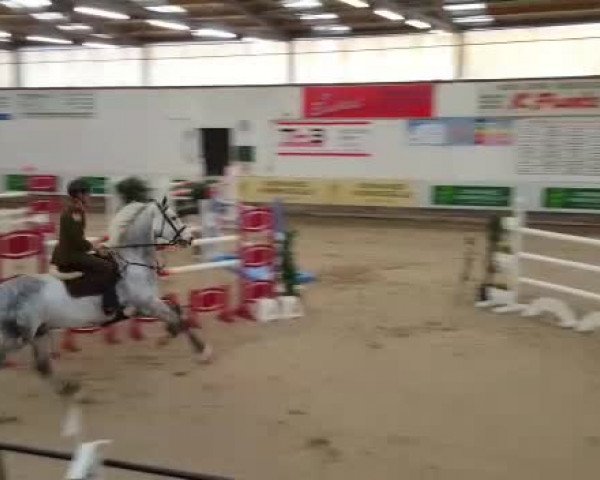 Video of Cromwell 33