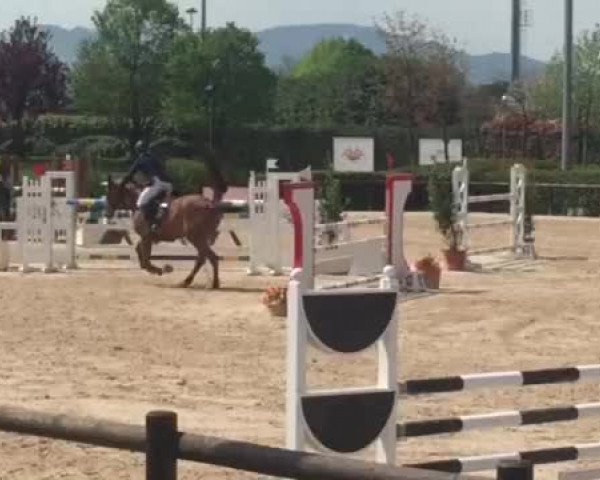 Video of Esprit H