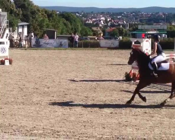 Video von Dagomir