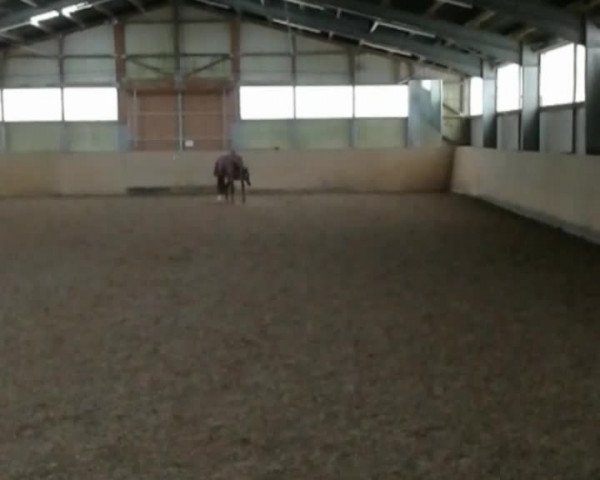 Video of Domenica 80