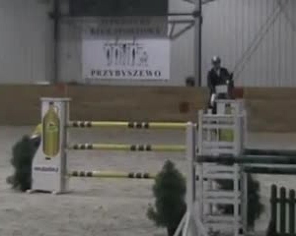 Video de Aristo Z